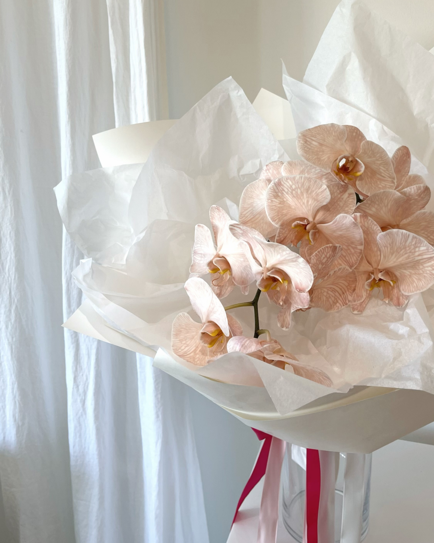 Orchids | Fresh Flowers Warana