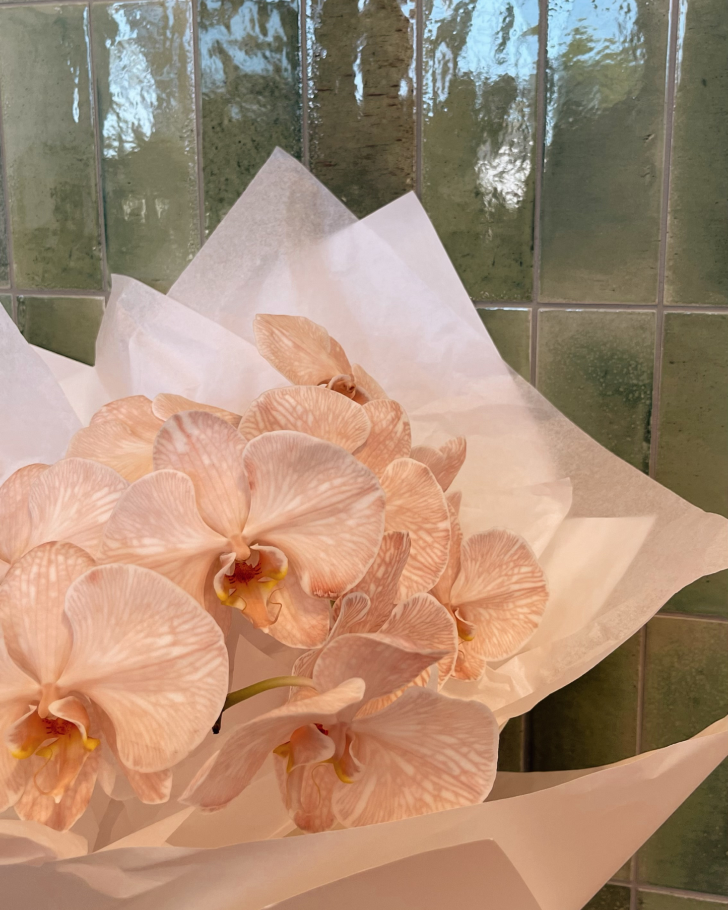 Orchid Flower Delivery Near Me