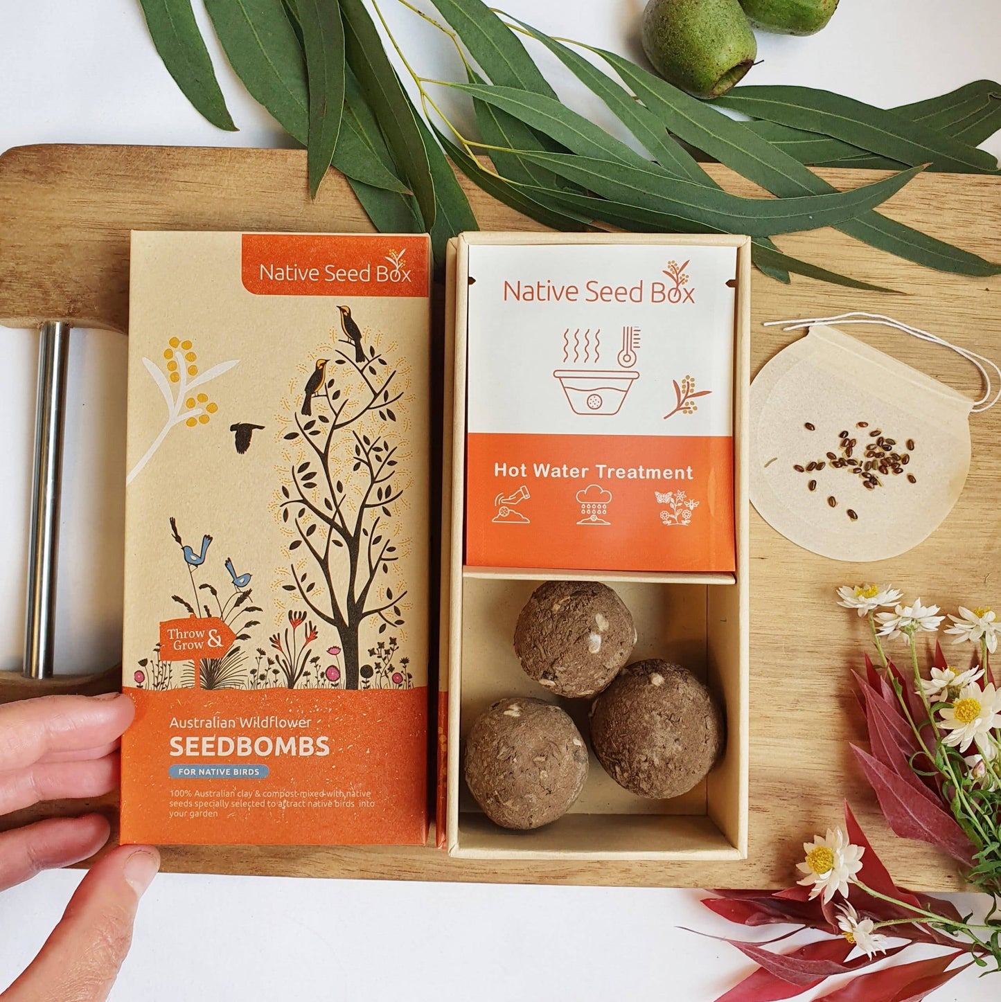 Native Bird Collection seedbombs with Australian wildflower seeds