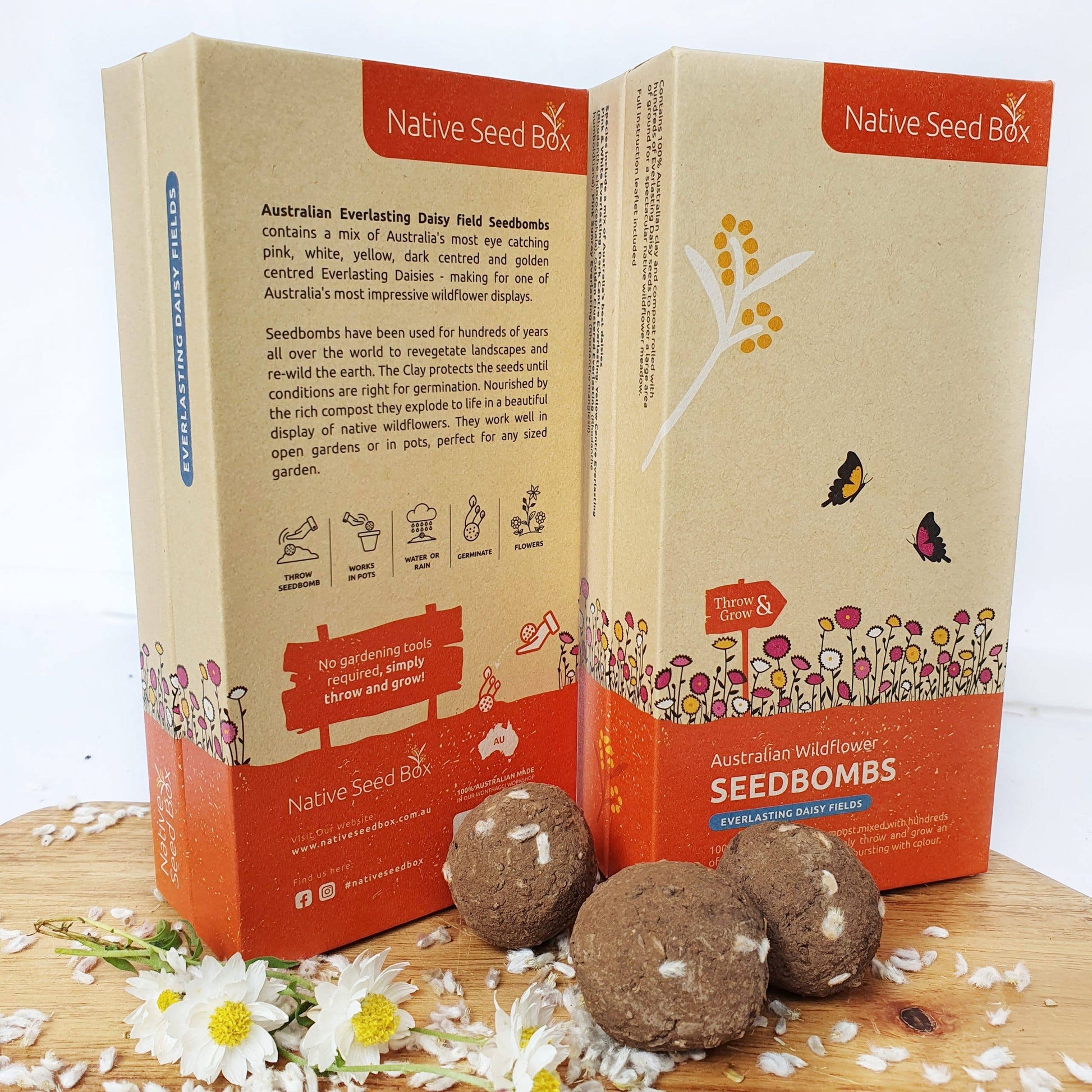 Everlasting Daisy Fields kit | dried flower garden seeds