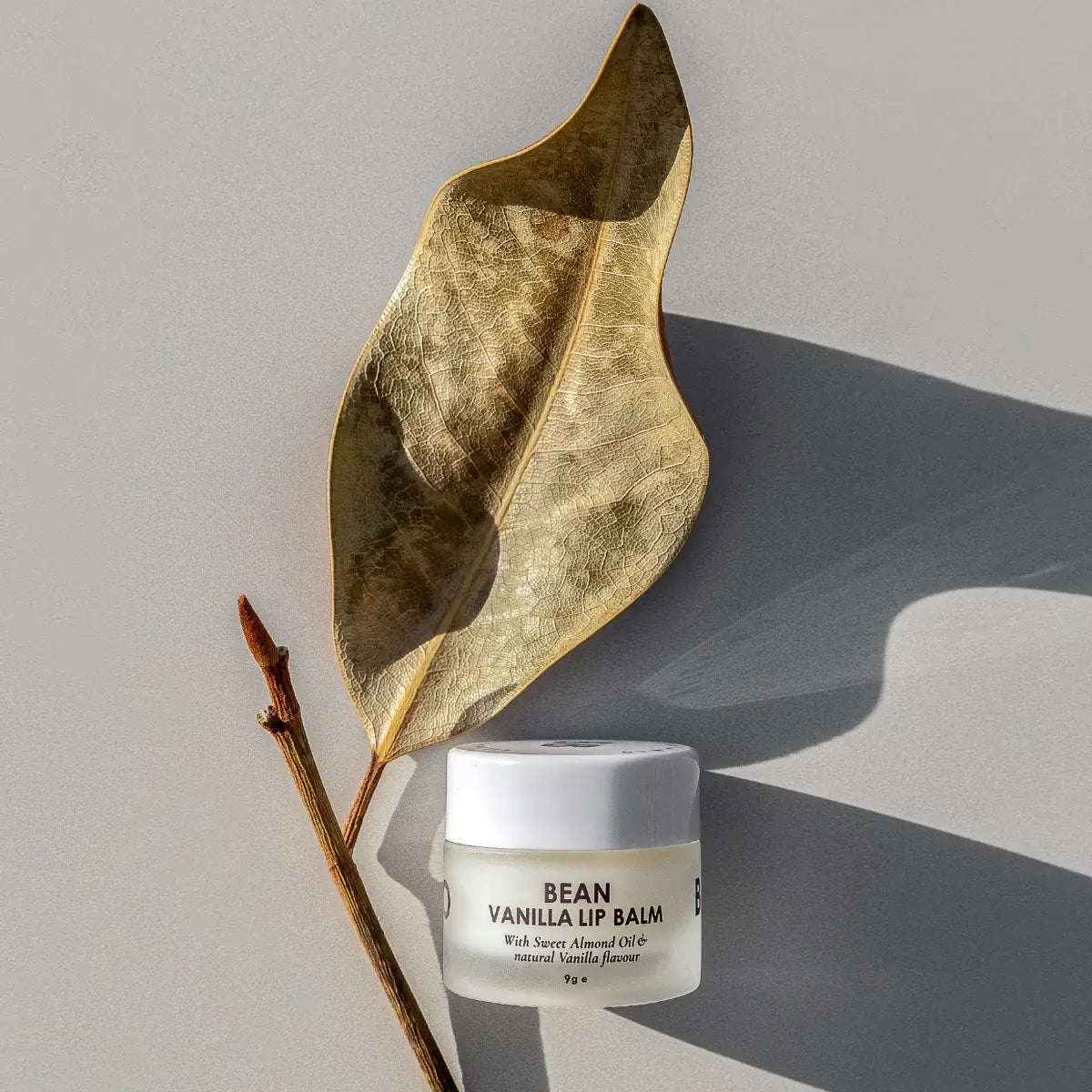 Bean Vanilla Lip Balm jar | natural lip care products | Sugarplum Blooms