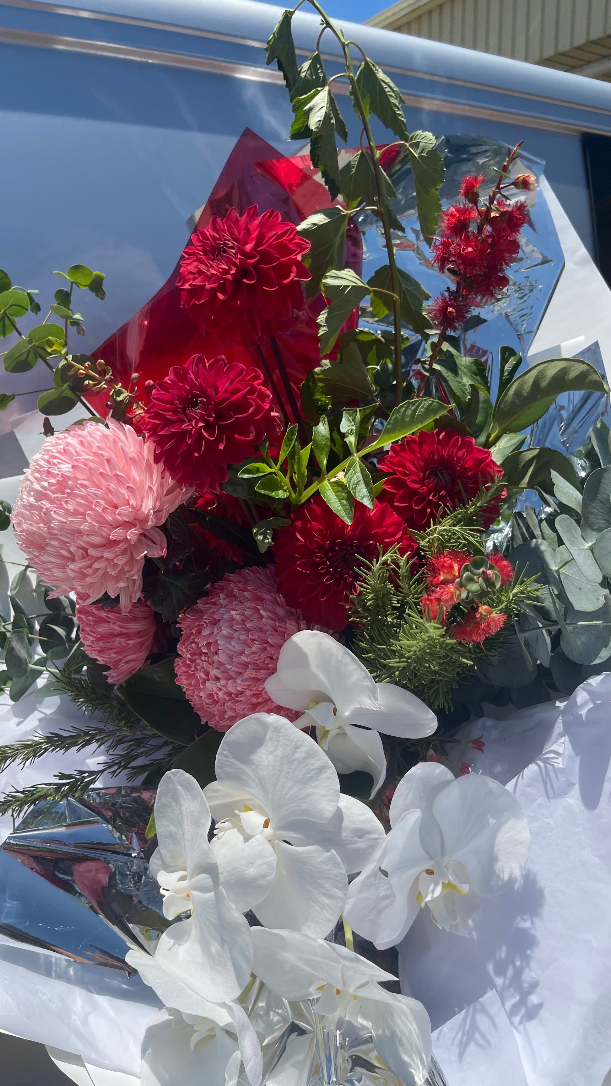 Holiday Season Floral Gift Sunshine Coast | Sugarplum Blooms