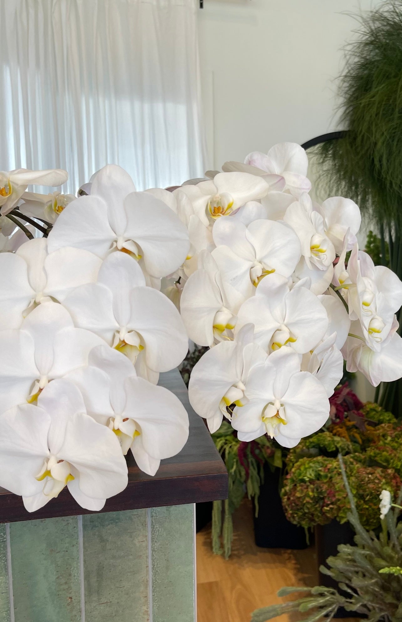 Orchid Flowers | Warana Florist