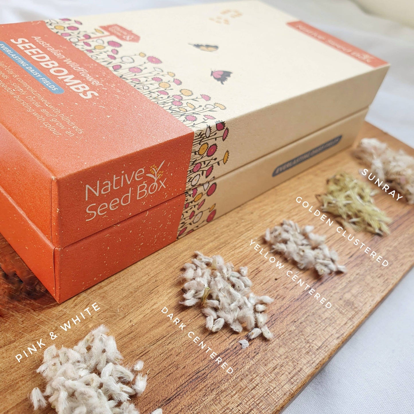 Everlasting Daisy Fields kit with Australian native wildflower seeds