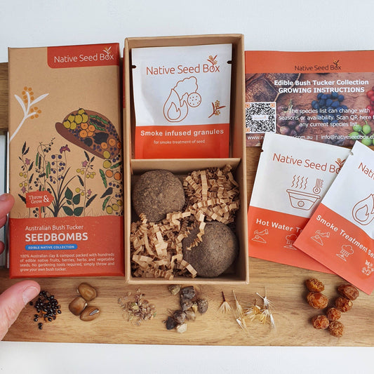 Australian Bush Tucker Seedbombs kit | edible bush food