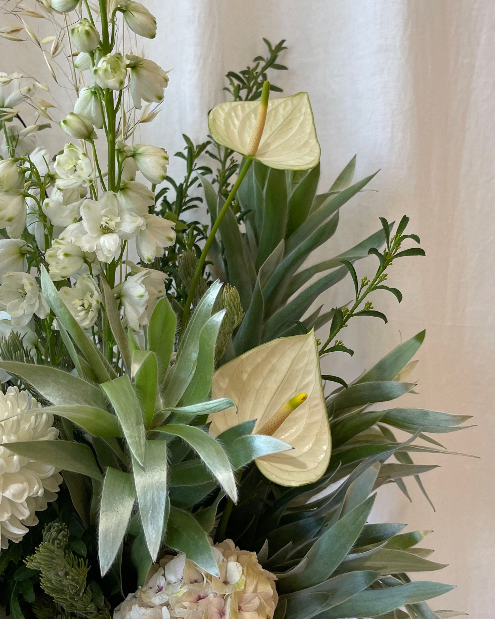 Sugarplum’s Daily Flowers in Vase | Sunshine Coast Flowers | Sunshine Coast Florist